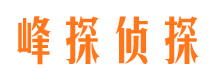 红桥寻人公司